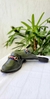 Mule Monaco Verde Militar - Ballerine Store