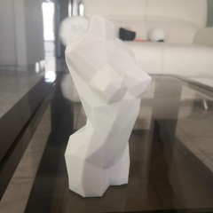 Torso Feminino