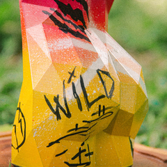 WILD ONE - comprar online