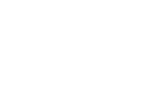 Dogsoutfit