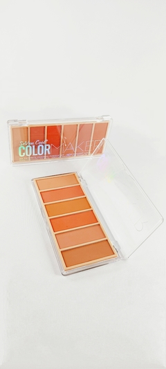 RUBOR BLUSH PALETA CON 6 TONOS en internet