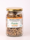 GRANOLA RAW 300GR PLANTE