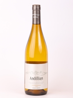 VINO ORGANICO CHARDONNAY ANDILLIAN