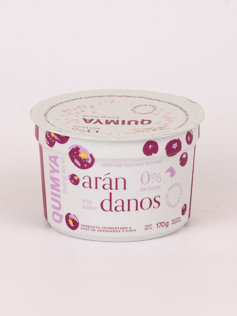 YOGUR DE ARANDANOS QUIMYA