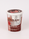 HELADO DE CHOCOLATE 500ML HAULANI