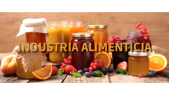 Banner de la categoría ALIMENTICIA