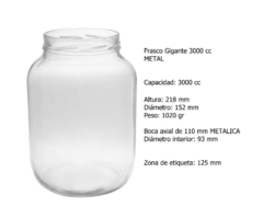 Frasco Gigante 3000ml - comprar online