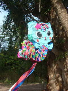 Piñata Gatisirena