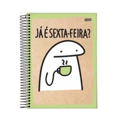 CADERNO UNIV CAPA DURA 10 MATÉRIAS 160FLS - FLORK - UN - JANDAIA - comprar online