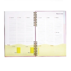 Planner Com Controle Financeiro Capa Dura 97 Folhas BRW - comprar online