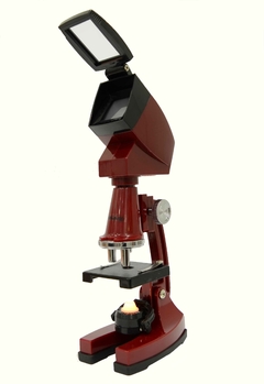 Microscopio Galileo 900x Con Proyector Y Luz - comprar online
