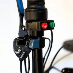 Imagen de Bicicleta Eléctrica Plegable Randerds BeLite Negra