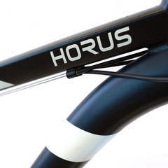 Bicicleta Randers Horus MTB R29 Talle L en internet