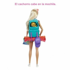 Barbie Dia De Campamento - tienda online