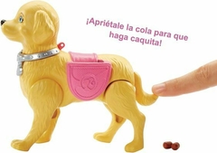Barbie Pase De Mascota - comprar online