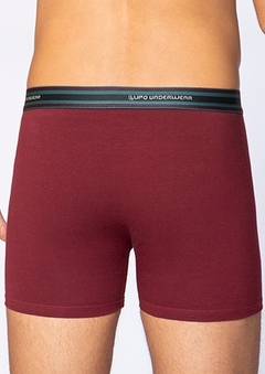 cueca-algodão-conforto-masculina-lupo-00523-003