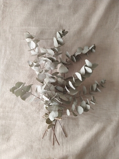 Ramo de Eucalyptus - comprar online