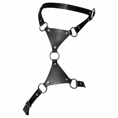 Vênus Harness Arreio Luxo Dominatrixxx na internet