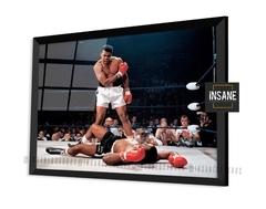 Quadro Muhammad Ali Mma