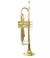 Trompete Sib laqueado; marca NY (New York), modelo TP200 na internet
