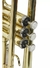 Trompete Sib laqueado; marca NY (New York), modelo TP200 - loja online