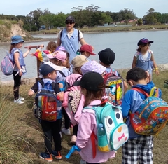 Actividades para Escuelas y Familias