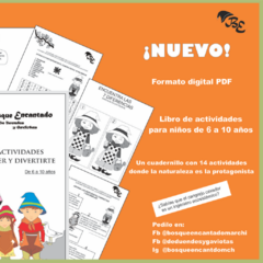 Cuadernillos de actividades digital - comprar online