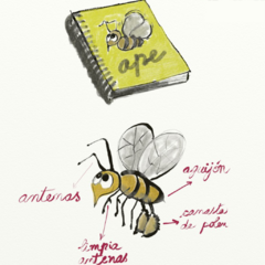 Cuaderno Guardián de las Abejas en internet