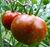 Semillas de tomate black zebra