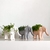 Maceta Elefante - Lucre en Casa - Shop Online