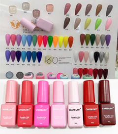 Esmalte 9ml charm limit color al azar