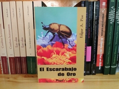 Colección EDGAR ALLAN POE 5 libros nuevos - Molinita