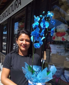 Orquídea BLUE - comprar online