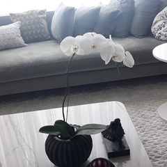 Orquídea com vaso