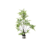 Planta Phoenix 60 cm