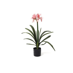 Jardinera 66 cm - comprar online