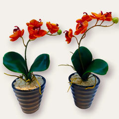 Orquídea mini - comprar online