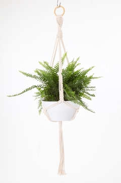 Hanger Samambaia Cru + Cachepot Branco - comprar online