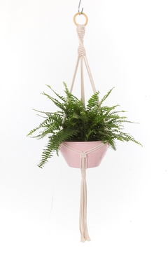 Hanger Samambaia Cru + Cachepot Rosa - comprar online