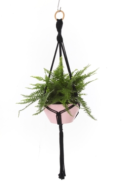 Hanger Samambaia Preto + Cachepot Rosa - comprar online