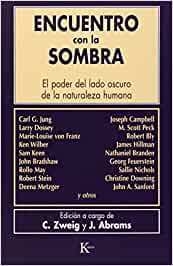 ENCUENTRO CON LA SOMBRA (ED.ARG.)