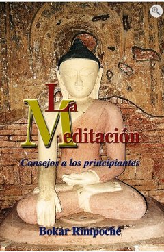 MEDITACION (DHA) , LA