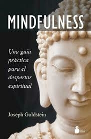 MINDFULNESS. UNA GUIA PRACTICA PARA EL DESPERTAR ESPIRITUAL