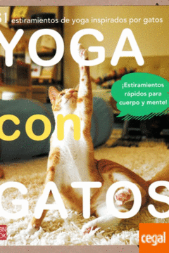 Yoga con gatos