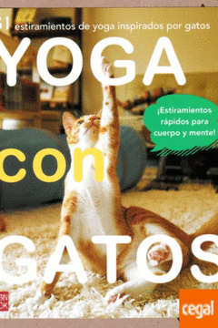 Yoga con gatos -31 estiramientos de yoga inspirados por gatos