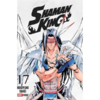 Shaman King #17