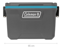 Conservadora COLEMAN Chest 52QT en internet