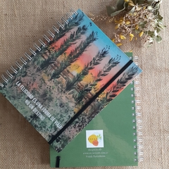 Cuadernos con mis pinturas en sus tapas! - comprar online