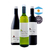 KIT VINHOS MIRAS JOVEM, MALBEC, PINOT NOIR E TORRONTES