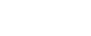 FLAVIA GOMES